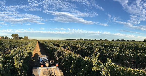 View from behind the wheel