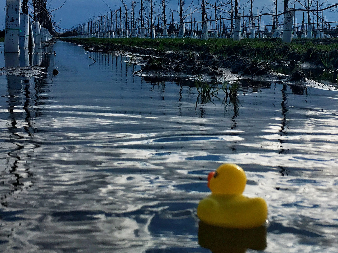 The heavy rains of 2018 made Spring work difficult....for some.